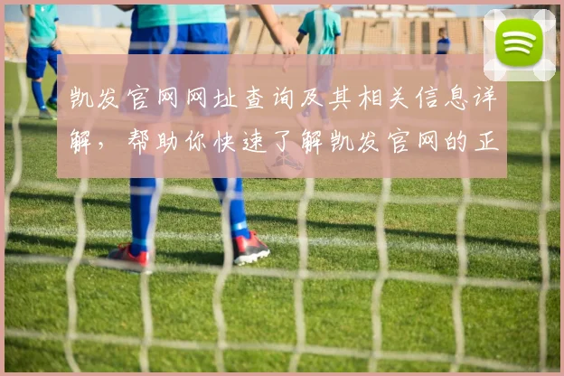 凯发官网网址查询及其相关信息详解，帮助你快速了解凯发官网的正确入口