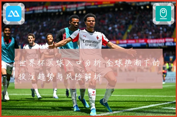 世界杯买球入口分析 全球热潮下的投注趋势与风险解析