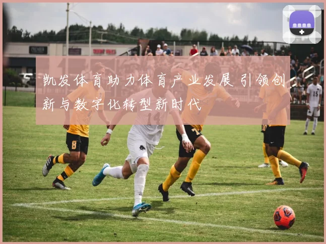 凯发体育助力体育产业发展 引领创新与数字化转型新时代