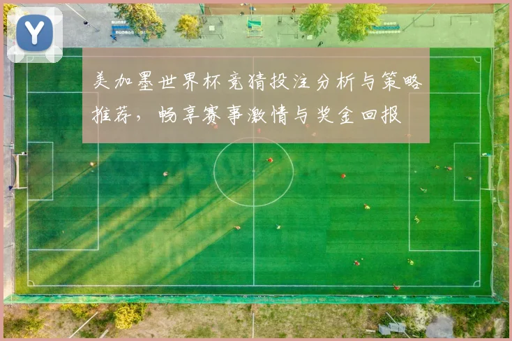 美加墨世界杯竞猜投注分析与策略推荐，畅享赛事激情与奖金回报
